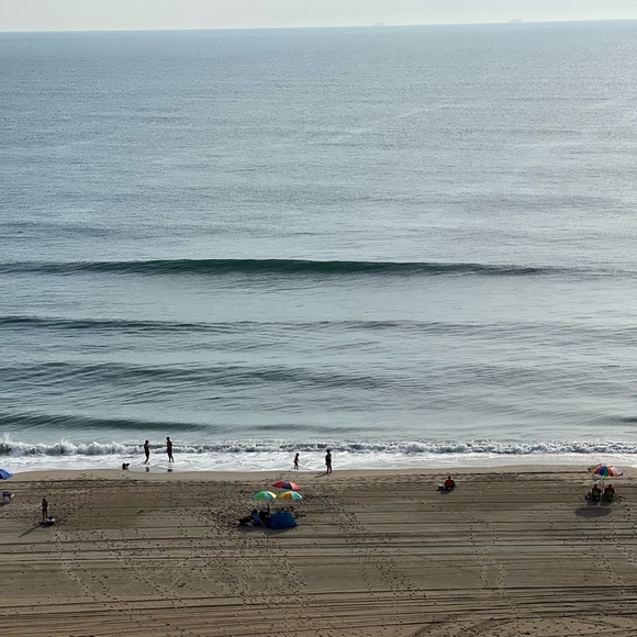 Meet your Posher, Denise - Picture 1 of 1